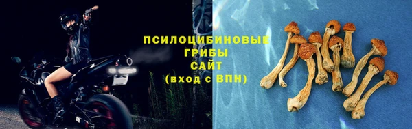 скорость Арсеньев
