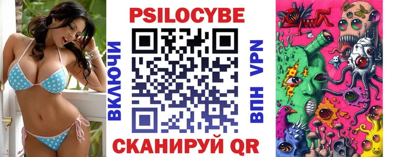 как найти закладки  Советск  Псилоцибиновые грибы Cubensis 